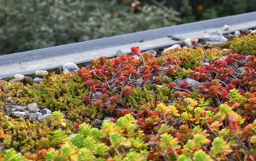 the cost of Broad Lanes green roof installation